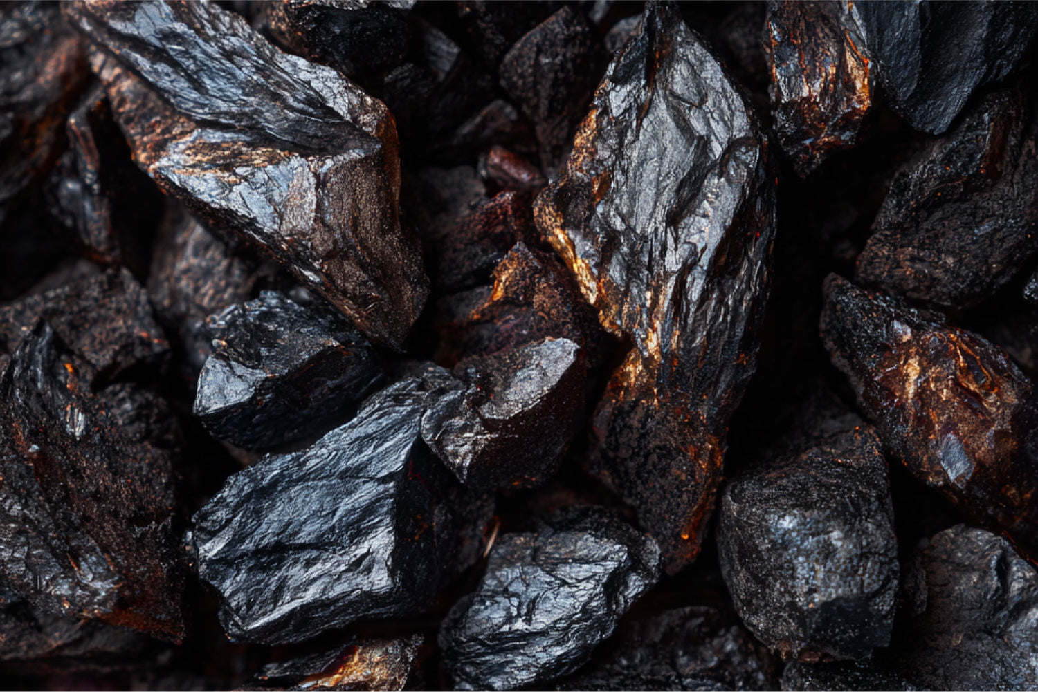 The Power of Shilajit’s Fulvic Acid and Humic Minerals