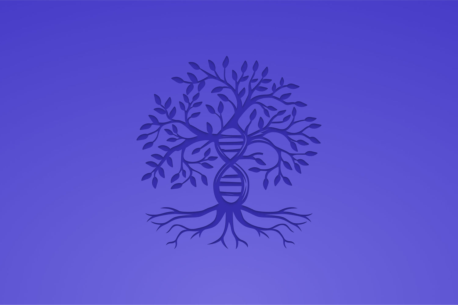 The story of Scantifix: Interview with TK