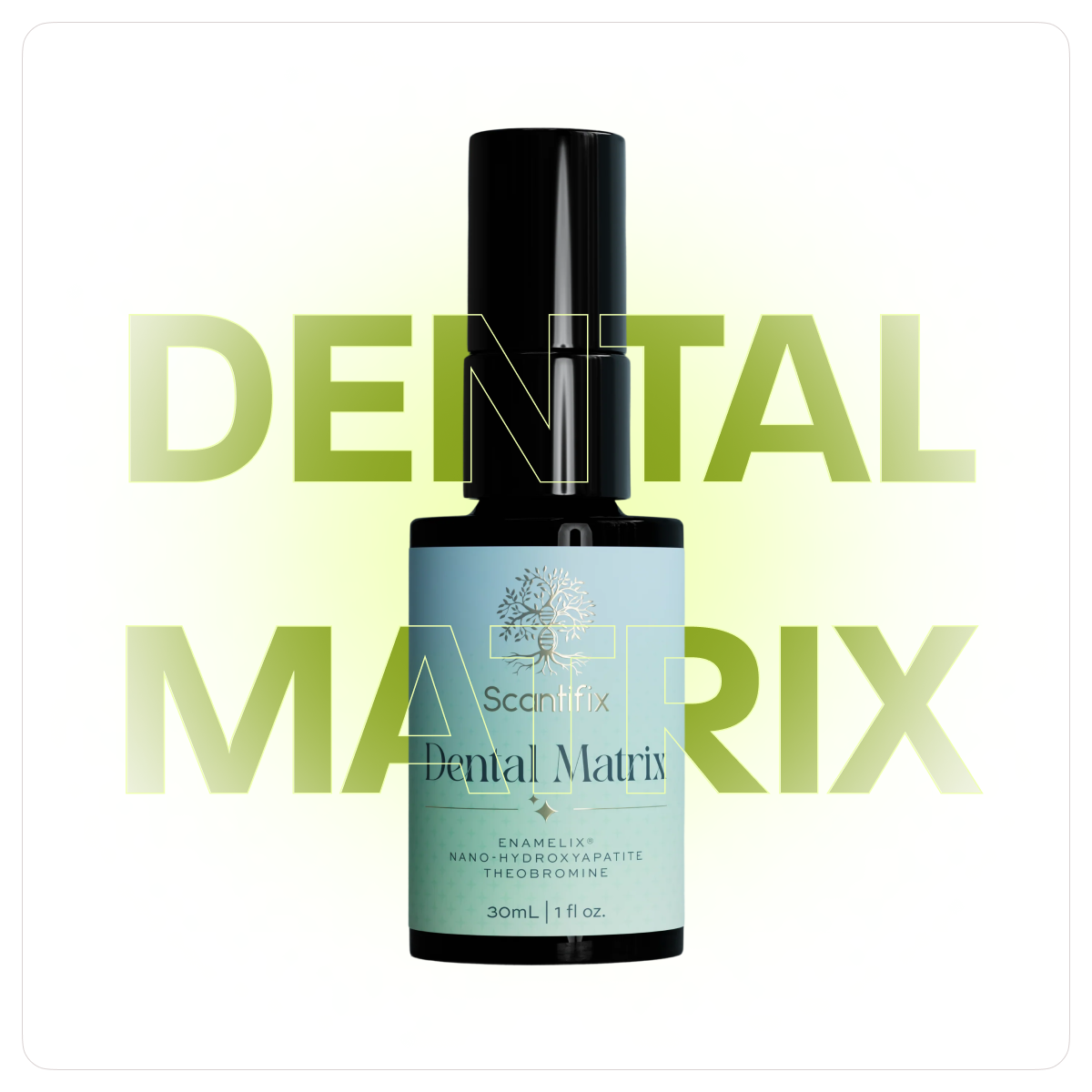 Dental Matrix